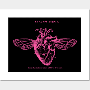 Pink Heart Posters and Art